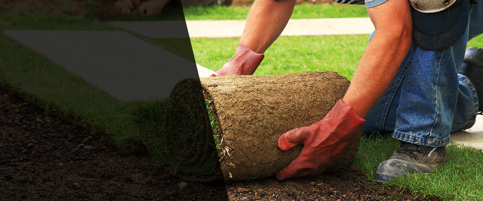 Dayton Landscapers